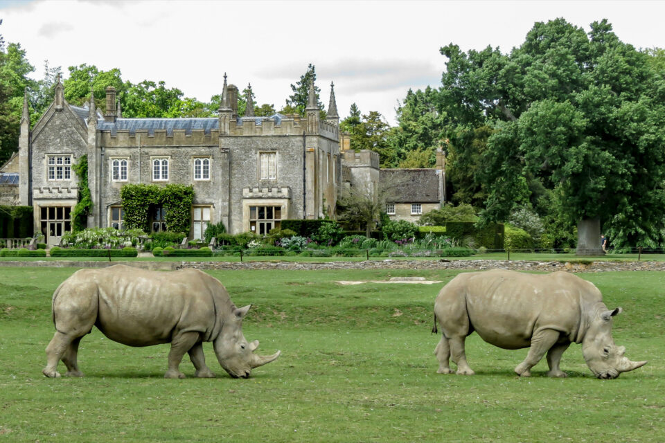 Cotswold Wildlife Park and Gardens