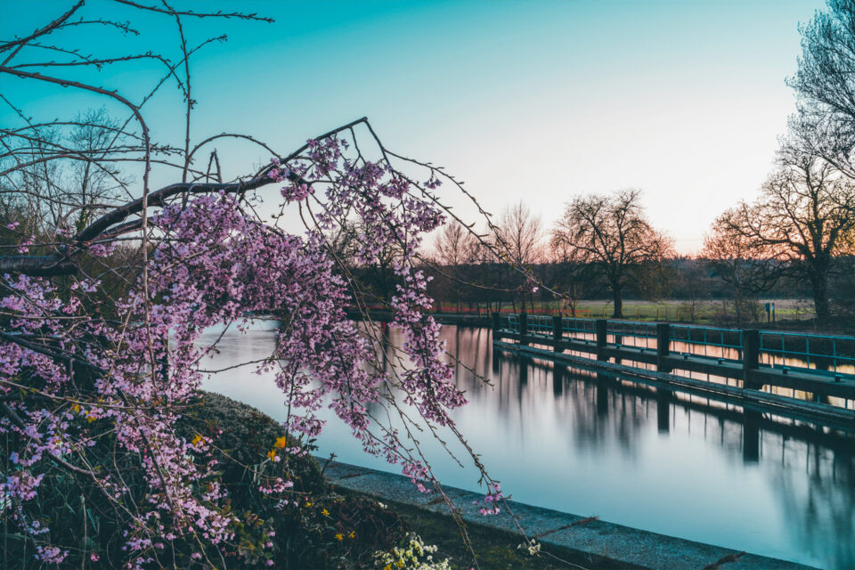 Thames Path Walk